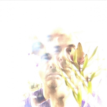 Himes, Matthew - Hemlock & Bergamot