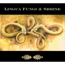 Lingua Fungi - Strange Growths/Wander