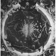 Sutekh Hexen - Luciform
