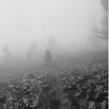 Thaw - St. Phenome Alley