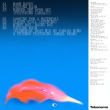 Turn On the Sunlight & Sam Gendel - Warm Waves