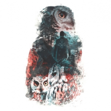 V/A - The Owls Are Not What They Seem