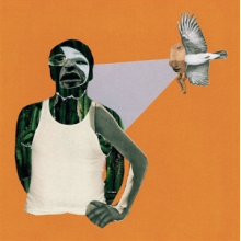 Vitor C - Agreste - a Personal Anthology