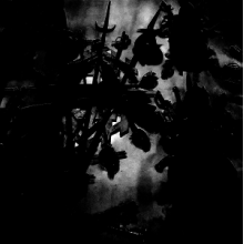 Zwaard - Bloed En Wijn