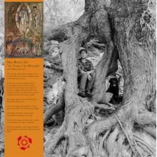 Cole, Adam Geoffrey - Tracks of the Afterlander