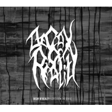 Decay of Reality - A Spit From the Grave