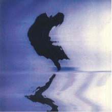 Diaz-Infante, Ernesto - Bats In the Lavender Sky