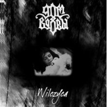Dom Vdovy - Wilczyca