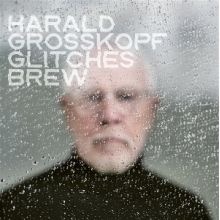 Grosskopf, Harald - Glitches Brew