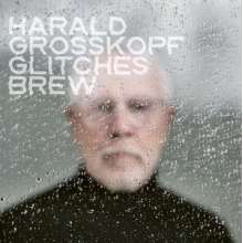 Grosskopf, Harald - Glitches Brew