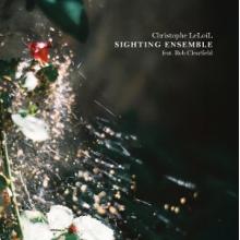 Leloil, Christophe - Sighting Ensemble