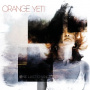Orange Yeti - One Last Chance