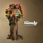 Sioule - Migransa