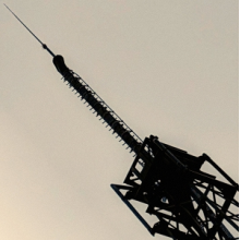 Blood Abscission - Ii