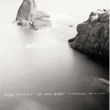 Contemporaneous & David Bloom - Dylan Mattingly: the Wild Heart