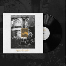 Light of the Morning Star - Wings In the Night Sky