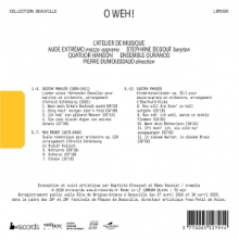 Dumoussaud, Pierre - Reger & Mahler: O Weh!
