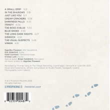 Flosason, Sigurdur - Blue Shoes