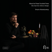 Kokoshynskyy, Dmytro - Music For These Troubled Times