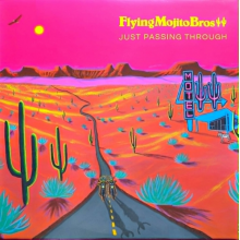 Flying Mojito Bros - Just Passing Through