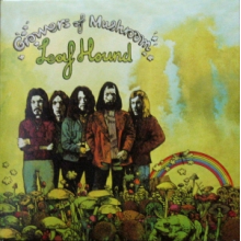 Leaf Hound - Growers of Mushroom