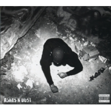 Trizz - Ashes N Dust