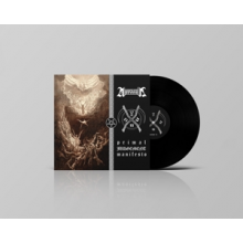 Aspernamentum - Primal Judgement Manifesto