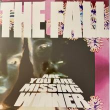 Fall - Are You Are Missing Winner