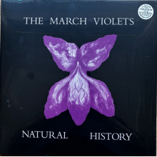 March Violets - Natural History