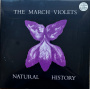 March Violets - Natural History