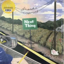 Cosmos, Frankie - Next Thing