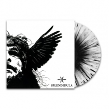 Splendidula - Somnus