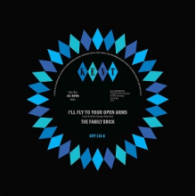 Family Brick / Ray Gant & Unknown Female Singer - 7-I'll Fly To Your Open Arms / Did She Do It To You