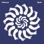 Embryo - Opal