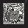 Flaming Star - In the Pipers Magical Kingdom