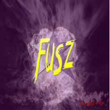 Fusz - Hypocrisy