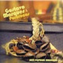 Gustavo Marques & Pororocas - Jazz Popular Brasileira