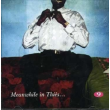 Royal Band De Thies & Dieuf-Dieul De Thies - Meanwhile In Thies
