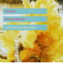 Tchala - Alo Alo Mindelo