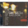V/A - Future Sound of Gaeldom