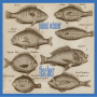 Patent Ochsner - Fischer