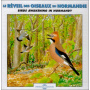 Sounds of Nature - Birds Awakening In Normandie