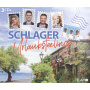 V/A - Schlager Urlaubsfeeling