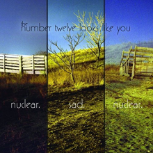Number Twelve Looks Like Y - Nuclear.Sad.Nuclear.