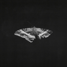 Lamar, Kendrick - To Pimp a Butterfly