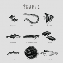 Memoria De Peixe - Memoria De Peixe