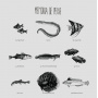 Memoria De Peixe - Memoria De Peixe