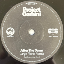 Project Gemini - 7-After the Dawn (Large Plants Remix)/Darkness Rising