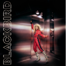 Blackbird - Do You Read Me!