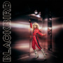 Blackbird - Do You Read Me!